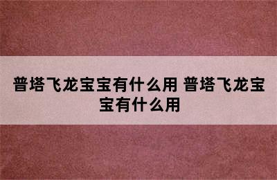 普塔飞龙宝宝有什么用 普塔飞龙宝宝有什么用